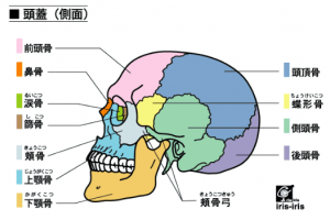 脳脊髄液　画像６